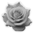 categorias.png