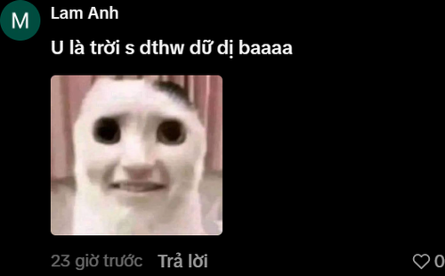c49f271c2243.png