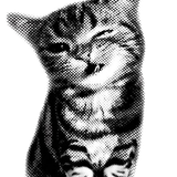 icon.png