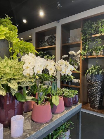 shop 3.jpg