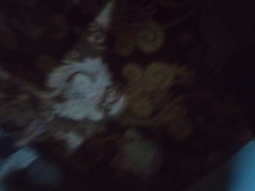 c5cdfe27 6013 43b3 a46d 13639f710a22 1 all 343.jpg