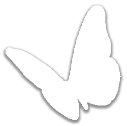 2af00180912666d30277fcc109ebe6478a559e1164dd38e10bd506a103759c31.0.png