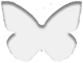 125682b23ae904da80e110177e938b60e1c573375e98a4ea90eab8f4f7e48a28.0.png