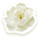 022447f46b13e6d972c0d42790f4d0c15ae2f13f5f9cbb247b3af271939ba8ab.0.png