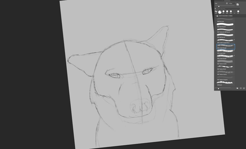 Photoshop uAlK19Mp2T.png
