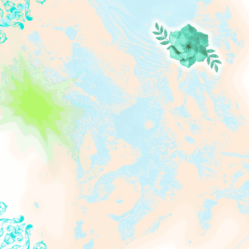 1000043528.gif
