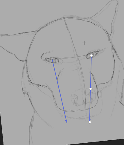 ShareX k6sLH4KouG.png