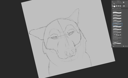 Photoshop vQ3Ctcqxuh.png