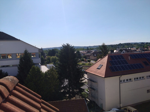 DSC 0350.jpg