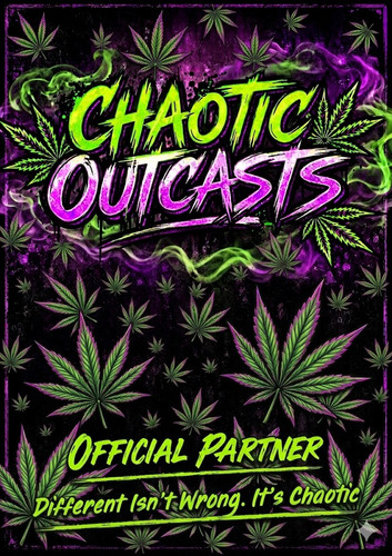 Chaotic PArtner Poster.jpg