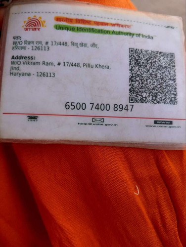433a6f2cd4b3.jpg