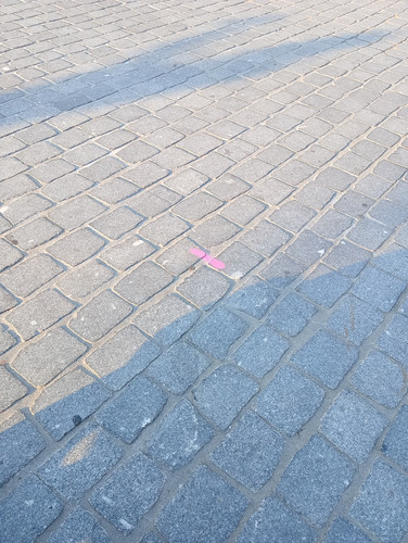 1000031400.jpg