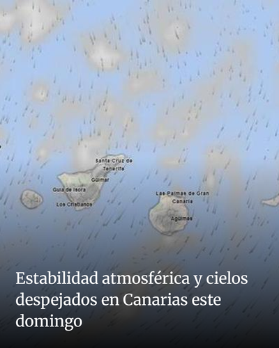 87690dbdc596.png