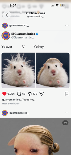 IMG 8059.png