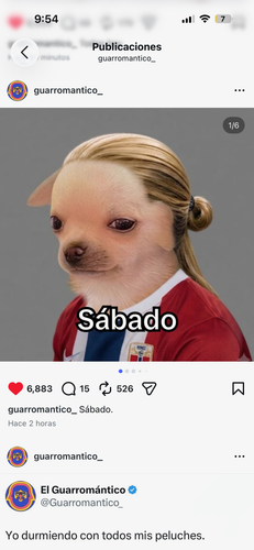 IMG 8058.png