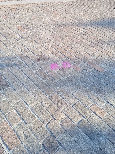 1000031391.jpg