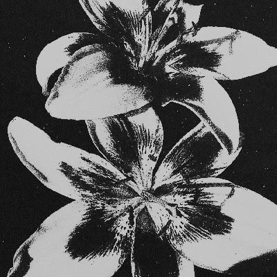 — petal.jpg