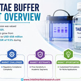 httpswww.24lifesciences.com 2026 07 10T153630.552