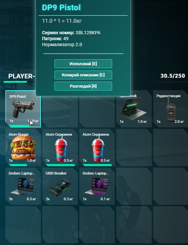 FiveM GTAProcess ViVfPUqKN2.png