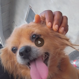 temp.png