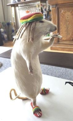 rastamouse.png