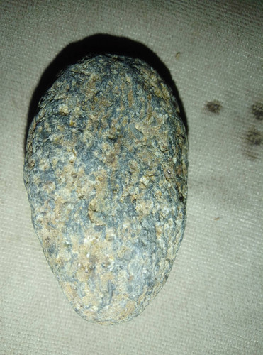 169bb054236c.jpg
