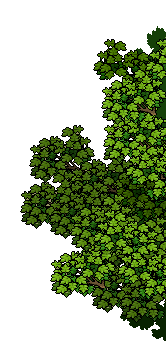 tree overlap 123344567.png