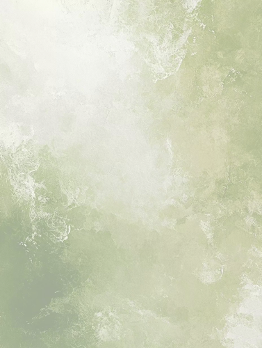 ff93844d82f84ec8878e254616ea709811032db396cca0f33eed5de0a449e9db.0.png