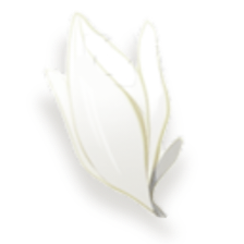 f3653492064181eedf4f189771f85f82a45ccc6eeb39fec18a671fd0e149c746.0.png