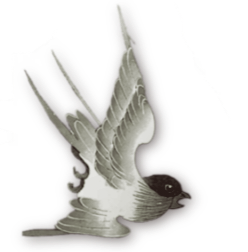 701d19aa7f9ee58cd51e0b63c6eab5eb0f9778c97d6a50918e228e477eac3439.0.png