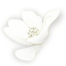 1240d2416f217701a761469ec5cfb45e1fb8364a4e55273bcb00f9e90965ad57.0.png