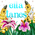 flower icon.gif