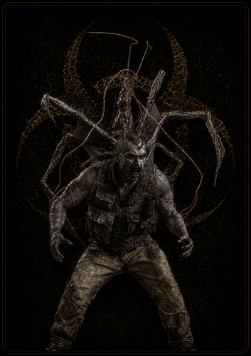 Plagas Araña.png