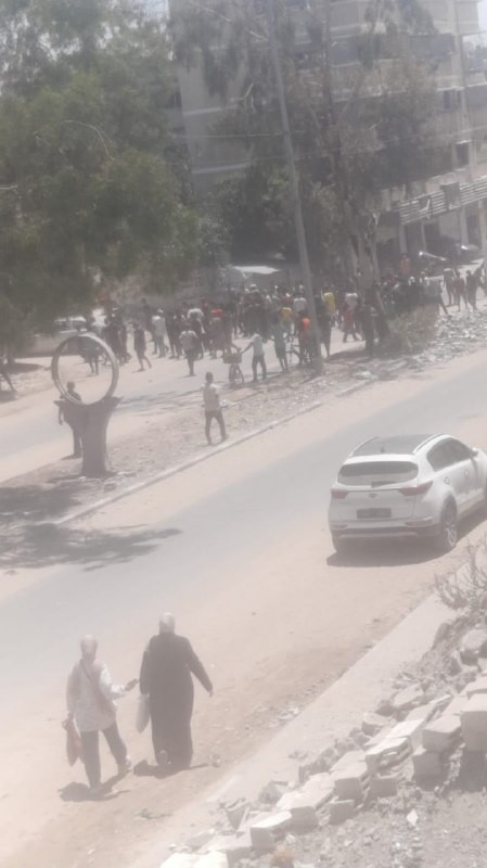 صورة الخبر
