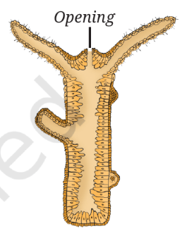 Screenshot 2026 07 11 140247.png