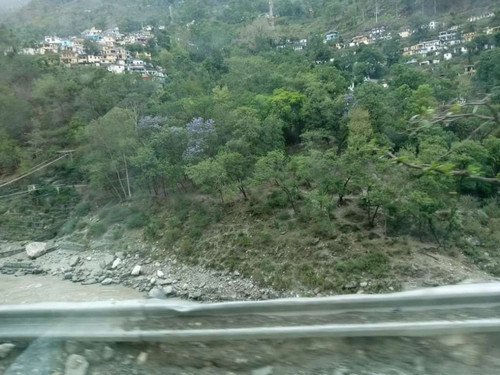 d9b0218c27d0.jpg