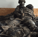 w7l0b837yrd0y6xhf7kssl49.gif