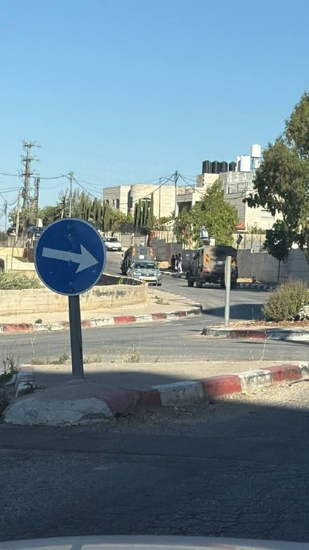 صورة الخبر