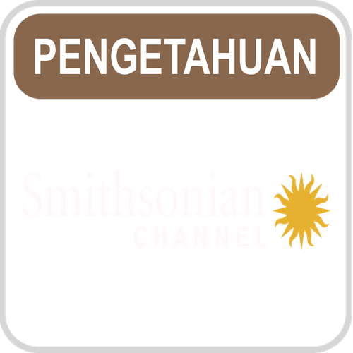 Smithsonian 2.png