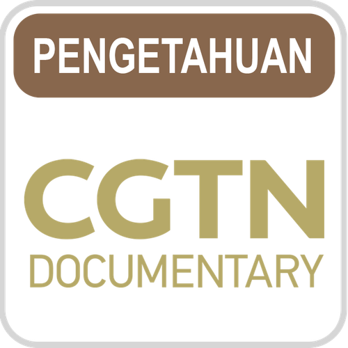 CGTN Doc.png