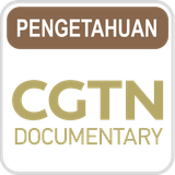 CGTN Doc