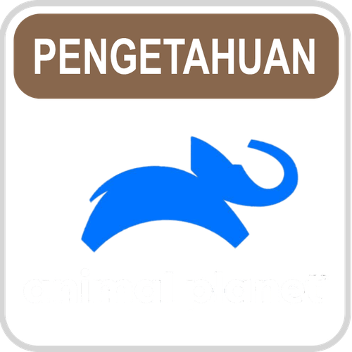Animal Planet.png