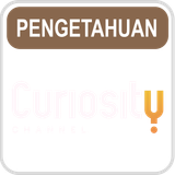Curiosity
