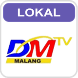 DM TV