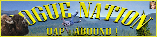 Bison Banner.jpg