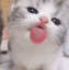 ezgif 75c96aa39d48a512.gif