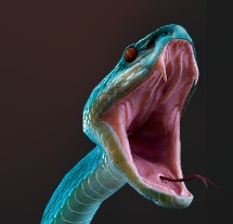 snake.jpg
