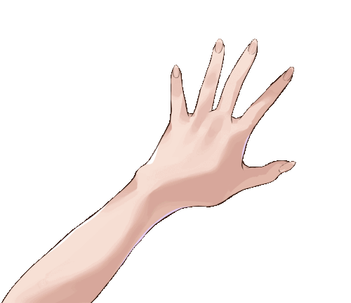 IMG 0079.gif