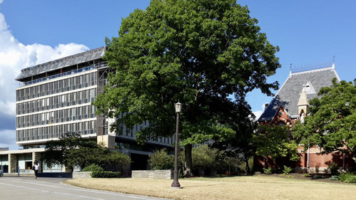 cornell1.jpg