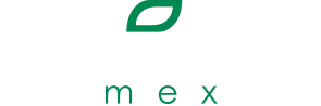 UltraMex NLogo.png